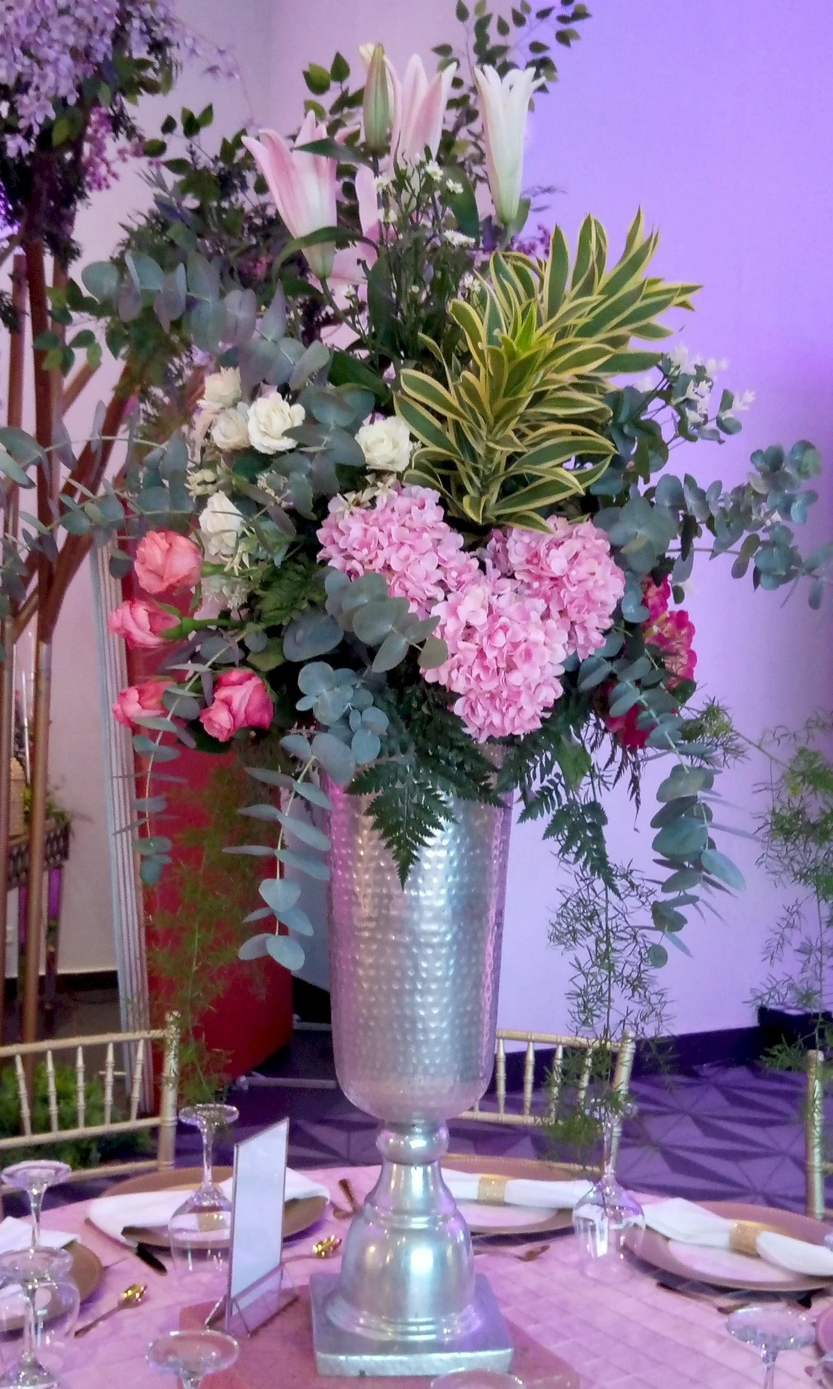 Imagen de Evento quince años