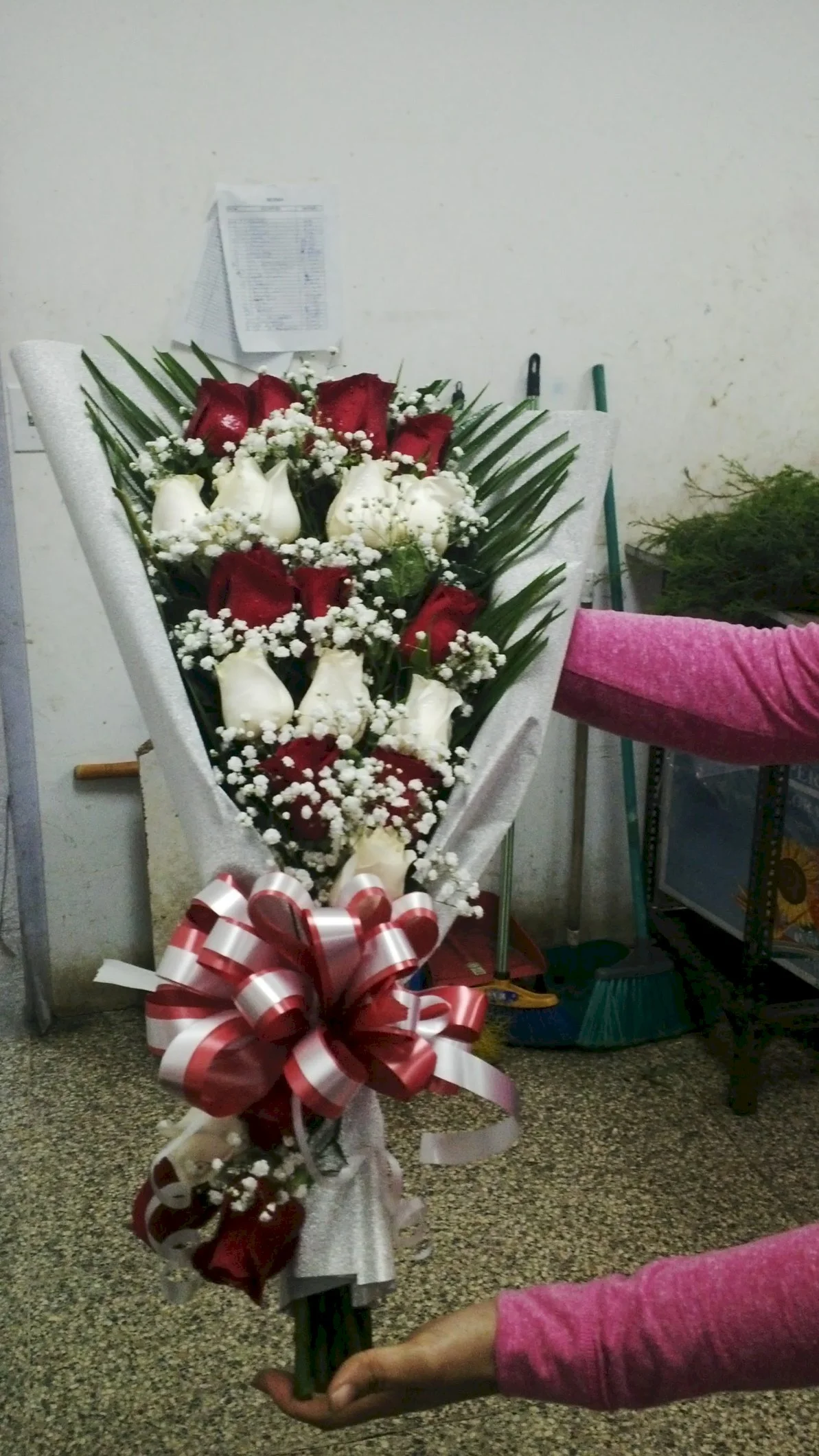 Imagen de Ramos