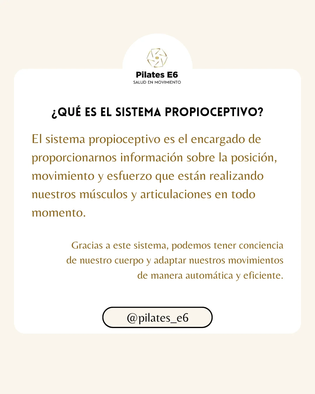 Imagen de Fisioterapia en el Sistema Propioceptivo