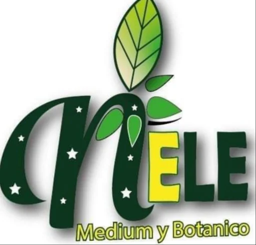 Logo Nele Panamá