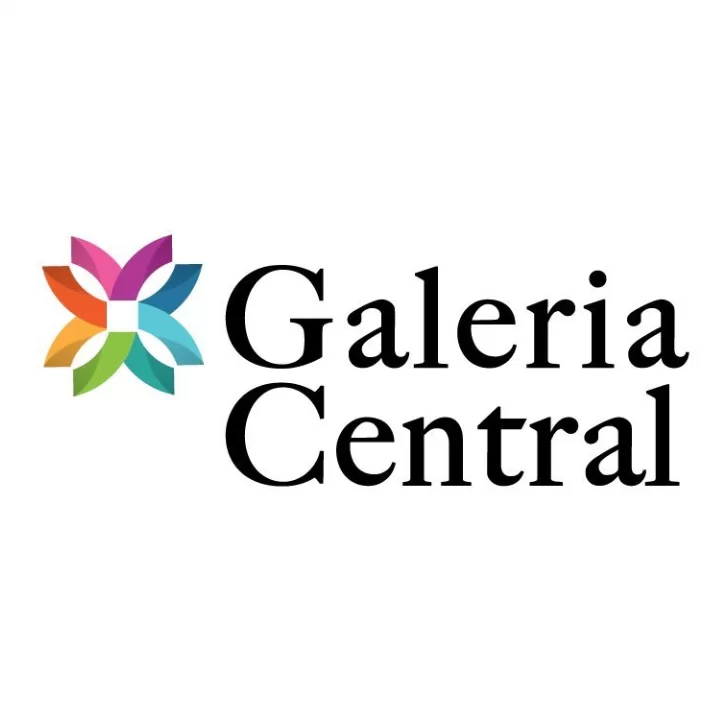 Logo Galeria Central David