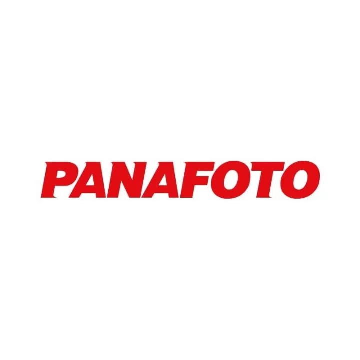 Logo Panafoto David